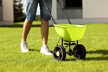 A fertilizer spreader on the lawn