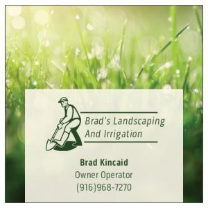 Brad's Landscaping and Irrigation