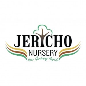Jericho Nursery