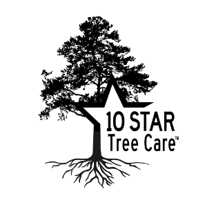 10 Star Tree Care