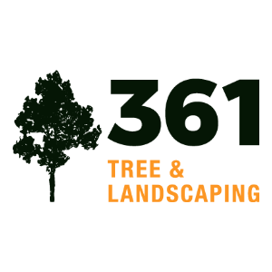 361 Tree _ Landscape
