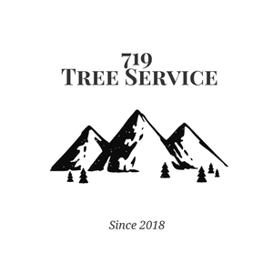 719 Tree _ Stump Removal