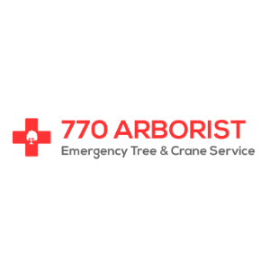 770 Arborist Emergency Tree _ Crane Service