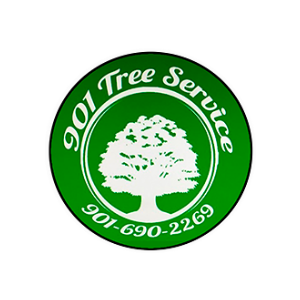 901 Tree Services