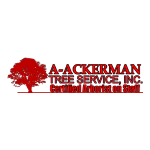 A-Ackerman Tree Service, Inc.