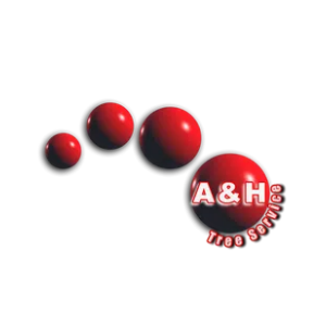 A and H Tree Service