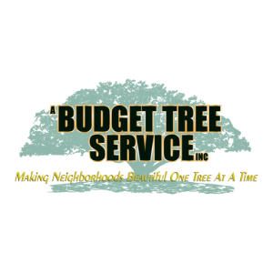 A Budget Tree Service