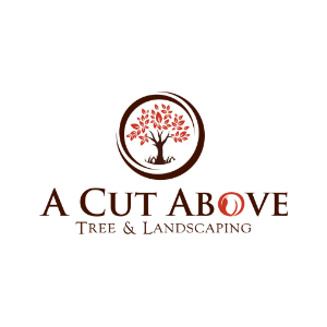 A-Cut-Above-Tree-Landscaping
