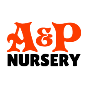 A_P Nursery