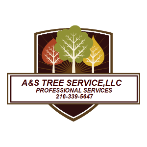 A_S Tree Service LLC