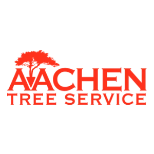 Aachen Tree Services