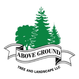 Above Ground Tree And Landscape LLC