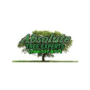 Absolute Tree Experts