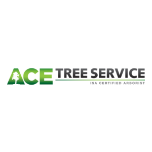 Ace Tree Service