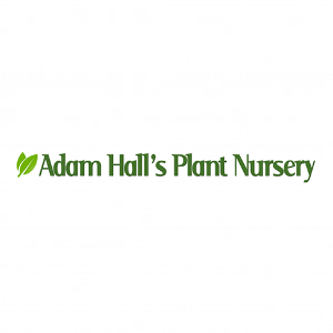 Adam Hall_s Plant Nursery