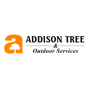 Addison Tree _ Outdoor Services