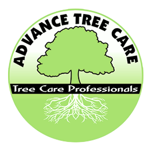 Advance Tree Care
