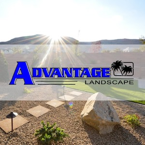 Advantage-Landscape