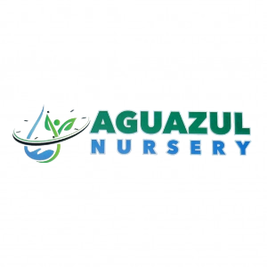 Aguazul Nursery