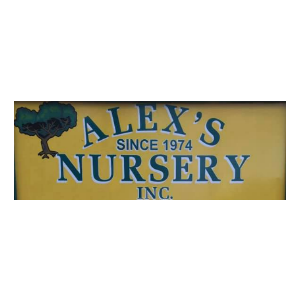 Alex's Nursery