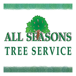 All Seasons Tree Service