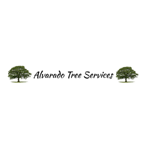 Alvarado Tree Services