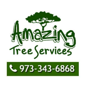 Amazing Tree Services