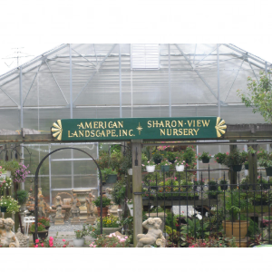 American Landscape at Sharon-View Nursery