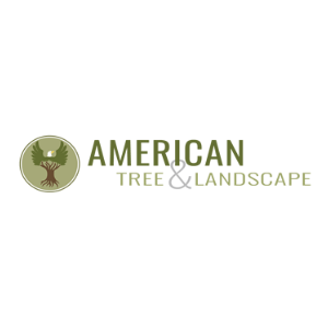 American Tree _ Landscape