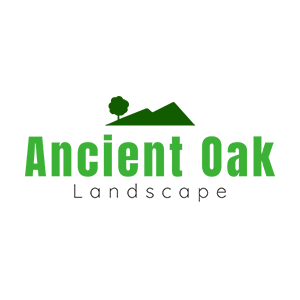 Ancient Oak Landscape
