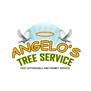 Angelo_s Tree Service
