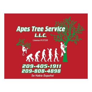 Apes Tree Service LLC