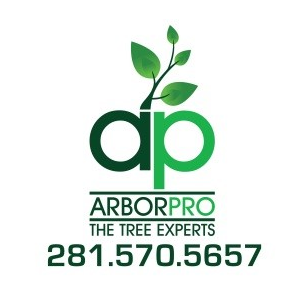 Arbor Pro the Tree Experts