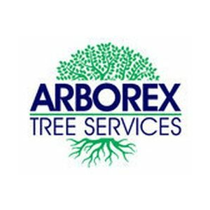 Arborex Tree Service