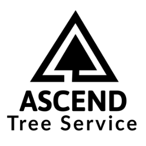Ascend Tree Service