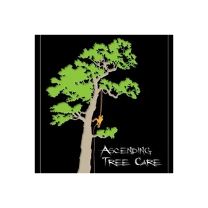 Ascending Tree Care