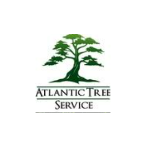 Atlantic Tree Services
