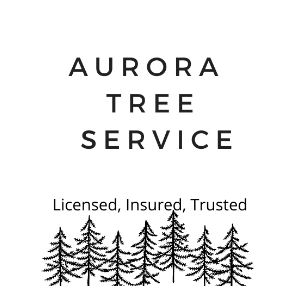 Aurora Tree Services
