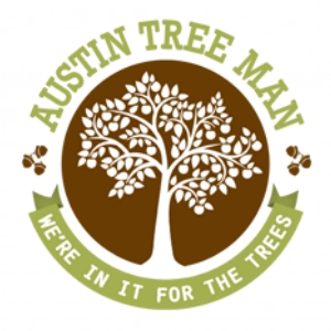 Austin Tree Man