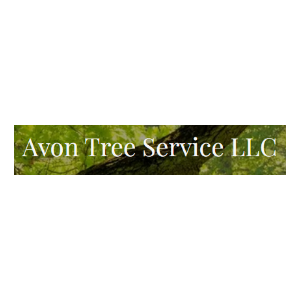 Avon Tree Service LLC
