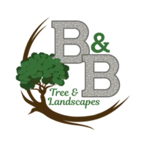B_B Tree _ Landscapes