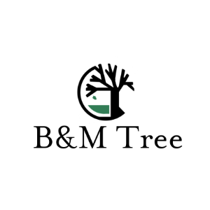 B_M Tree Service