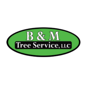 B_M Tree Service, LLC