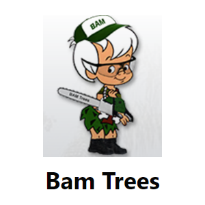 Bam Tree Services