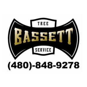 Bassett Tree Care