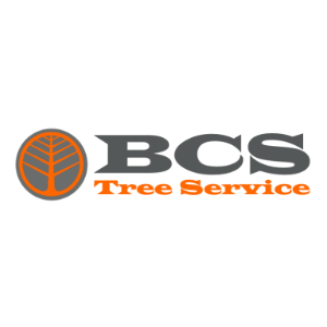 BCS Tree Service