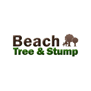 Beach Tree and Stump