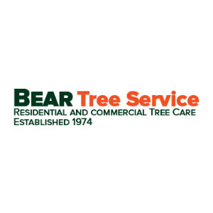 Bear Tree Service