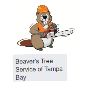 Beavers Tree Service of Tampa Bay, Inc.