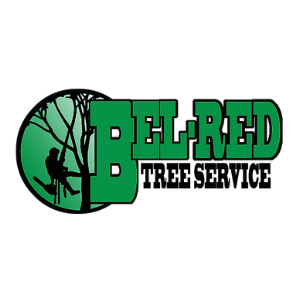 Bel-Red Tree Service